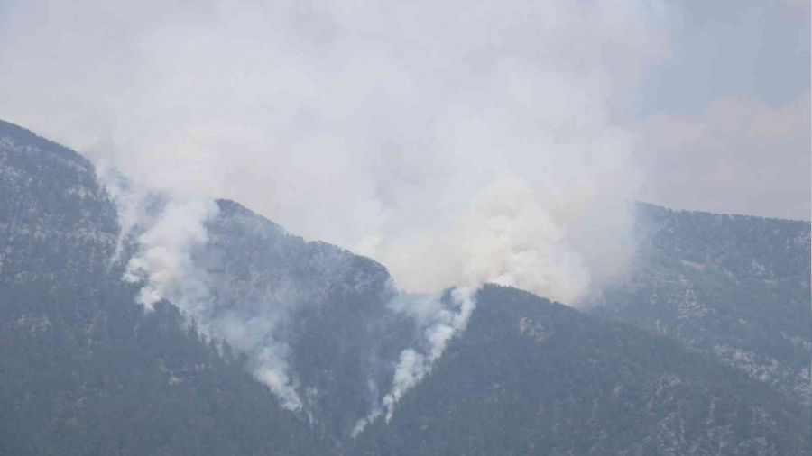 Alanya'da orman yangını