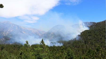 Alanya'da orman yangn kontrol altna alnd