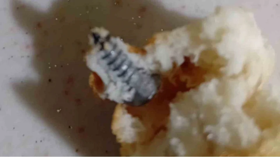 Ald��� ekme�in i�erisinden vida ��kt�