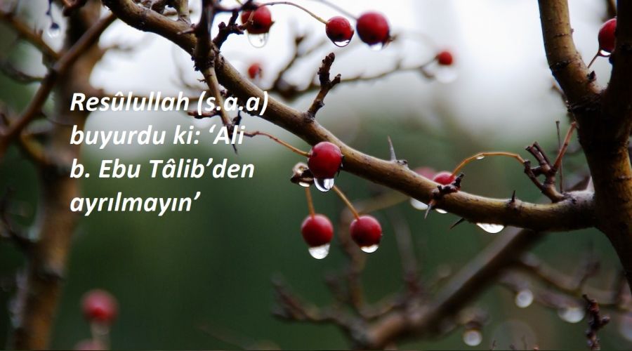‘Alî b. Ebu Tâlib’den ayrılmayın'