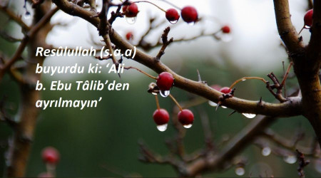 ‘Alî b. Ebu Tâlib’den ayrılmayın'