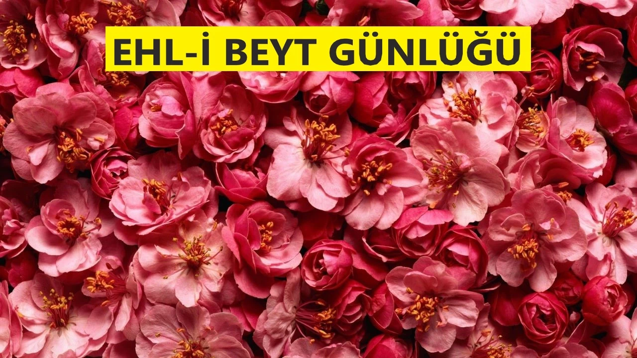 ‘Ali b. Ebu Tâlib’i gördüm’