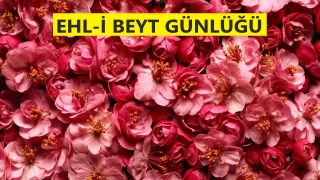 ‘Ali b. Ebu Tâlib’i gördüm’