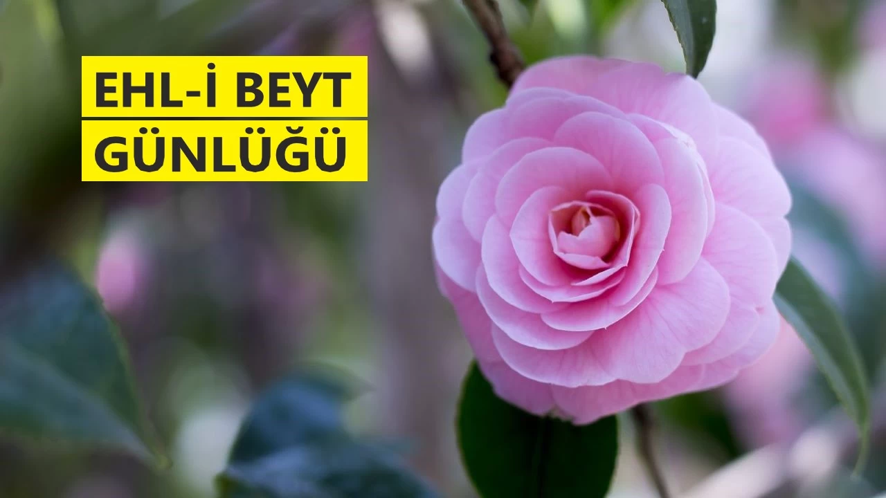 ‘Ali olmasaydı Ömer helak olurdu’