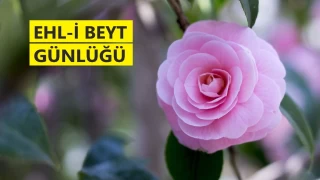‘Ali olmasaydı Ömer helak olurdu’