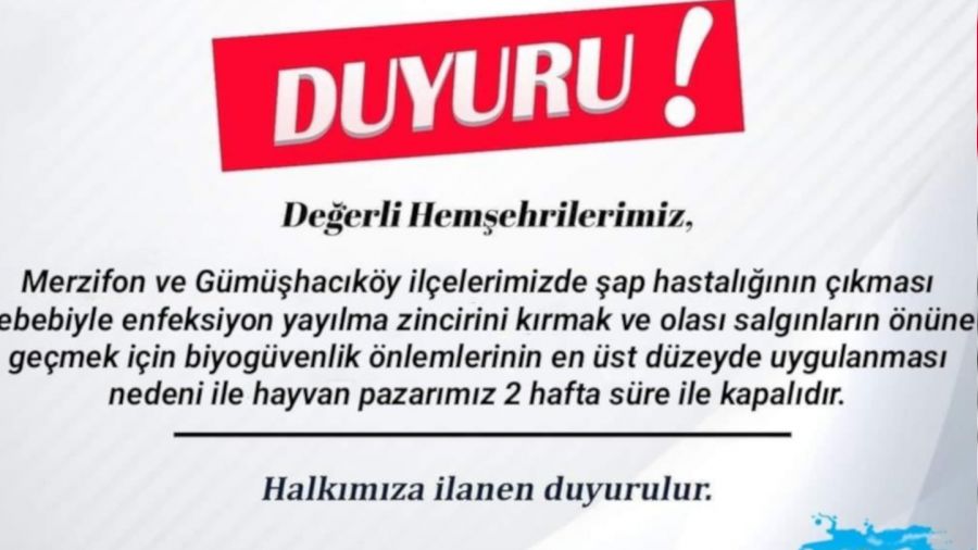 Amasya'da hayvan pazarı şap hastalığı nedeniyle 2 haftalığına kapatıldı