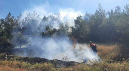 Amasya'da yangın ormanlık alana sıçradı