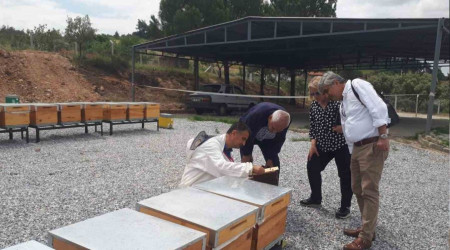 Ana Arı Üretim Merkezinde üretilen arılar teslime hazır