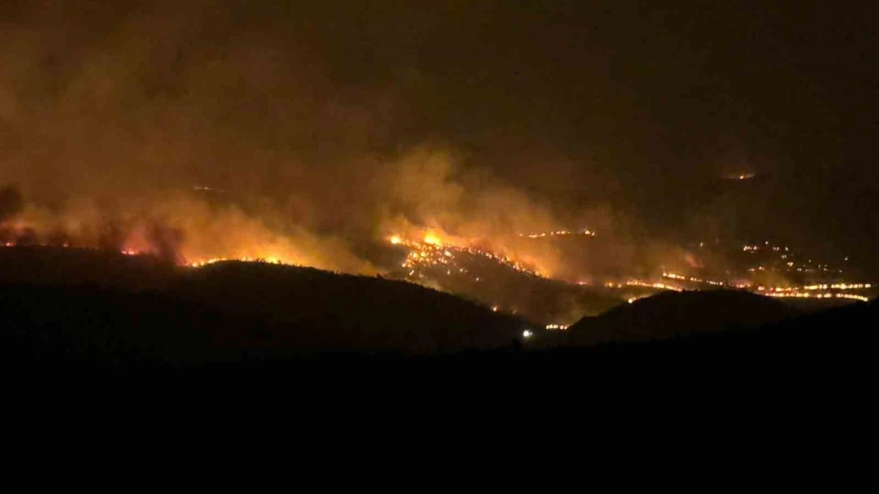 Anız yangınının bedeli ağır oldu