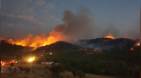 Ankara'da orman yangn