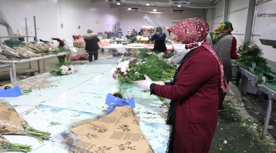 Antalya �i�ekten 60 milyon dolar bekliyorr