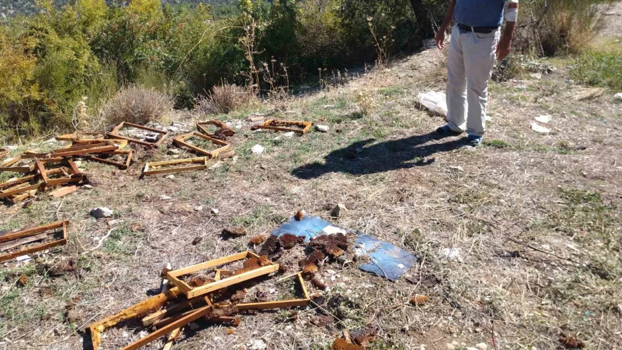 Antalya'da a� kalan ay�lar kovanlar� par�alad�