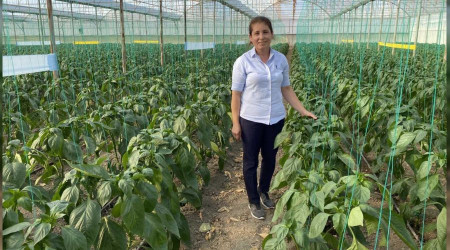 Antalya'dan birçok ülkeleye ihraç ediliyor