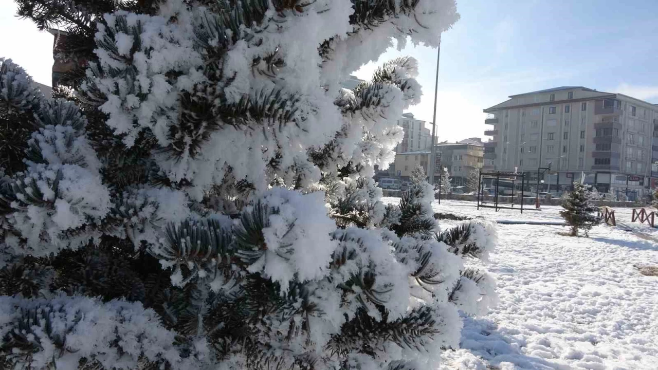 Ardahan Göle'de termometreler -29.8 dereceyi gösterdi