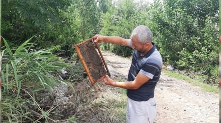 Arı kovanları sele kapıldı, zarar 1 milyon lira