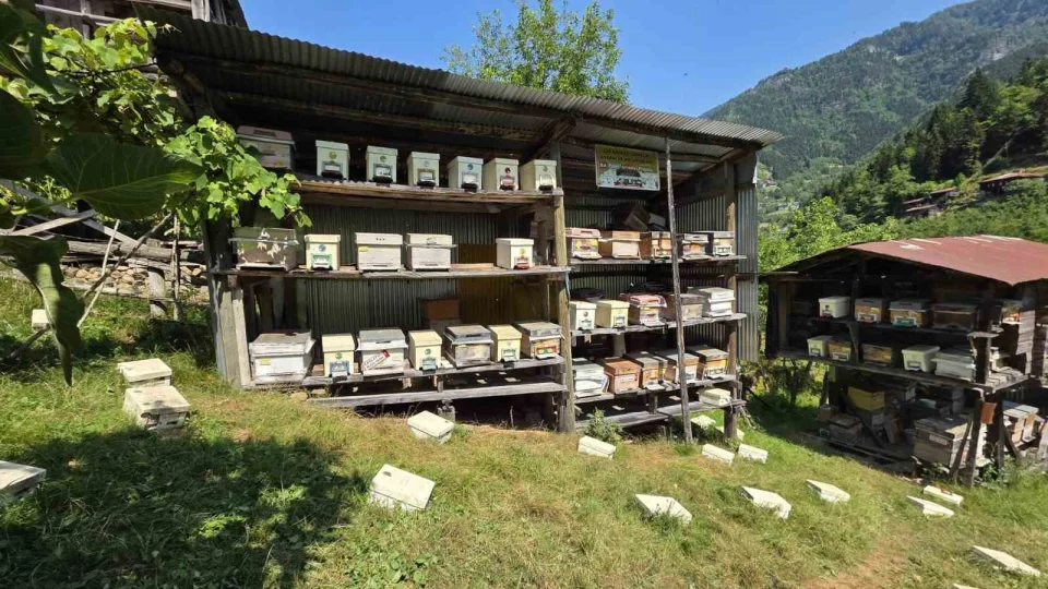 'Artvin bal� eczanelerde re�eteyle sat�lmal�'