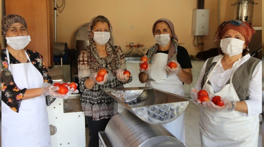 Artvin'de kadınlar kooperatif kurdu
