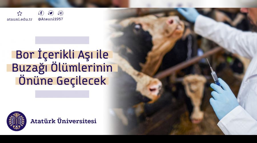 Atatürk Üniversitesi'nden Aşı Projesi