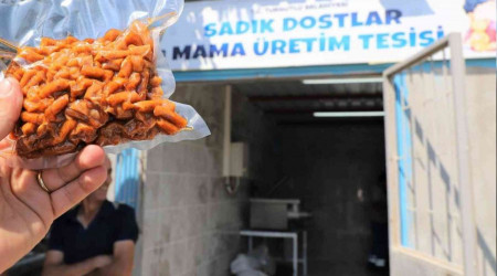 Atk gdalar sokak hayvanlar iin mamaya dnecek