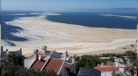 Atık sular Marmara'yı bu hale getirdi