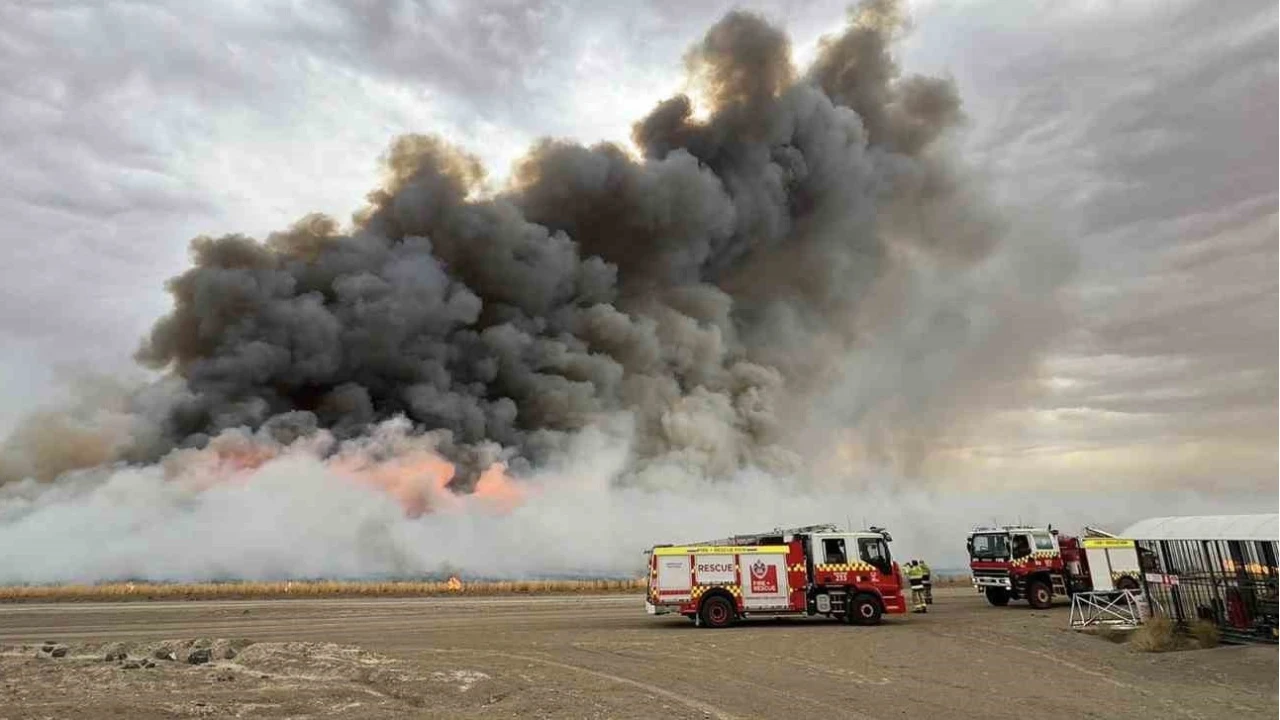 Avustralya'da devam eden orman yangnlarnda itfaiye grevlisi ld