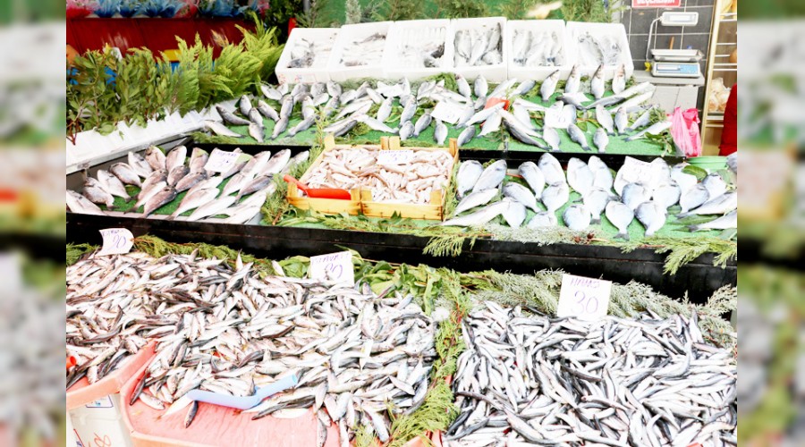 Balık sezonu kesat başladı