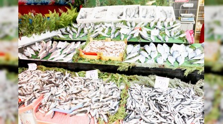 Balık sezonu kesat başladı