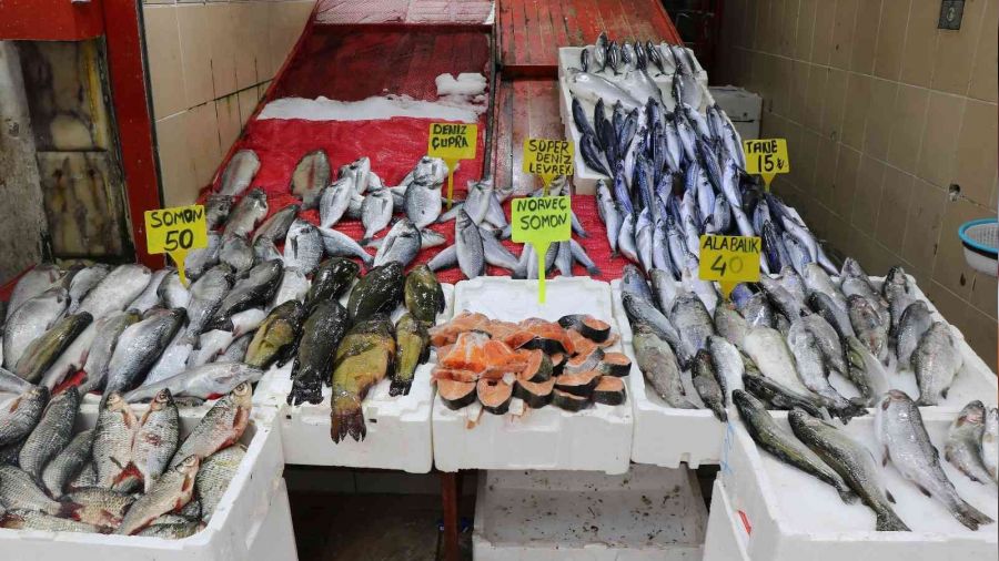 Balık tezgahları kültür balıklarına kaldı