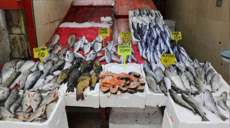 Balık tezgahları kültür balıklarına kaldı