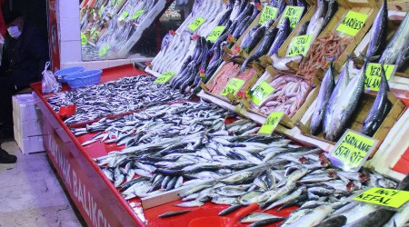 Balık tezgahları şenlendi ama fiyatlar cep yakıyor