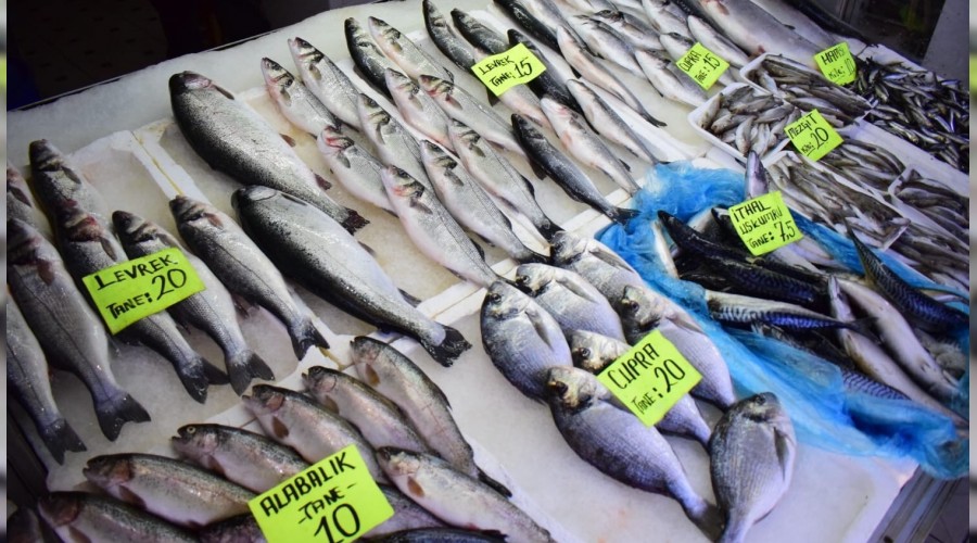 Balıkçılar zor durumda