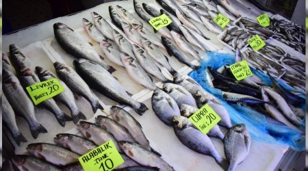 Balıkçılar zor durumda