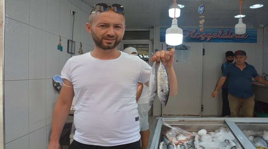 Balklarn palamut heyecan