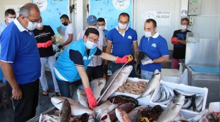 Balıkların boyları teker teker mezura ile ölçüldü