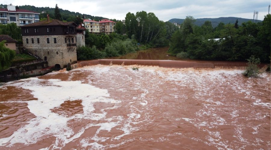 Bart�n Irma��'nda dikkat �eken k�p�kler olu�tu