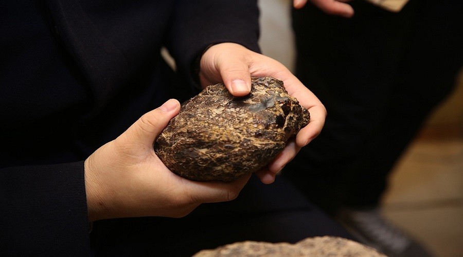 Bayburt Kehribar��na �inliler talip oldu
