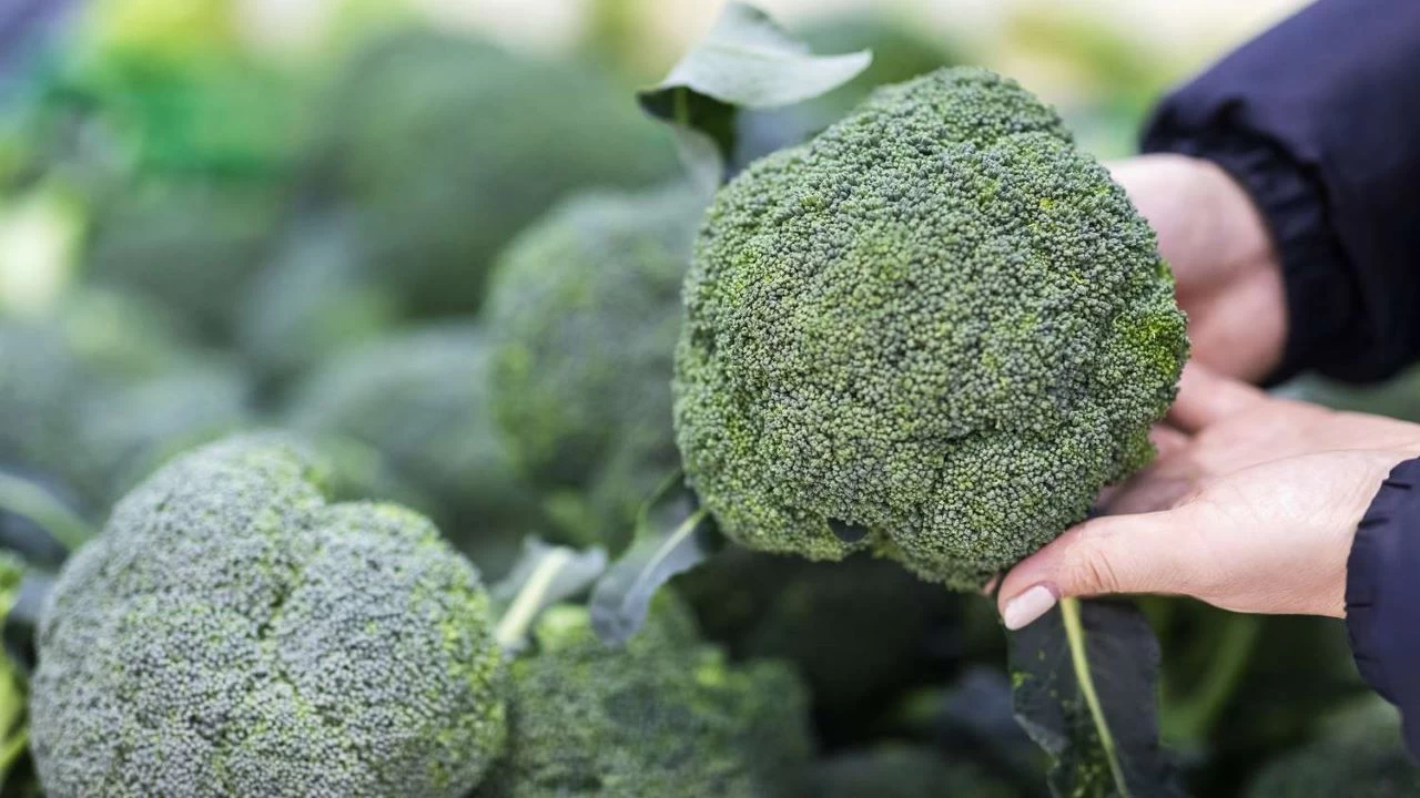 Besin deeri yksek yeil sper kahraman