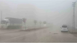 Besni'de yoğun sis etkili oldu
