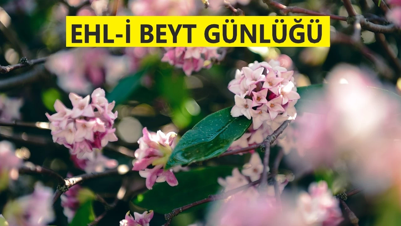 Bile bile hakk� ink�r ettiler