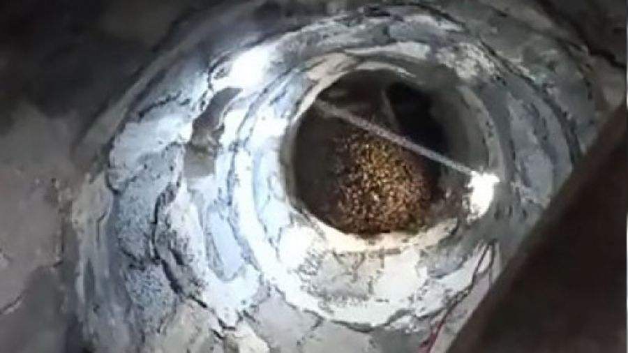 Bingöl'de arılar, cami minaresine yuva yaptı