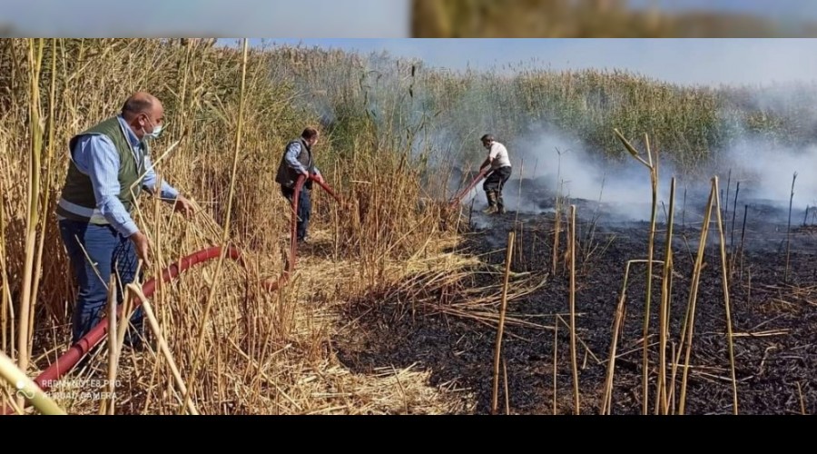 Birçok kuş türünün yaşadığı sulak alanda yangın