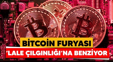 Bitcoin furyası 'lale çılgınlığı'na benziyor