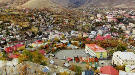 Bitlis'te 11 arsa 4 işyeri satışa sunuldu