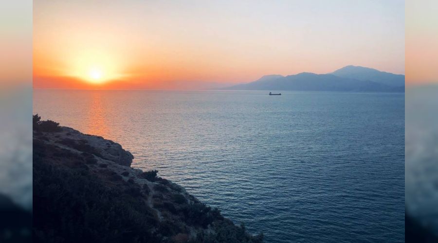 �Biz, rahmet evi ve n�b�vvet a�ac�y�z�