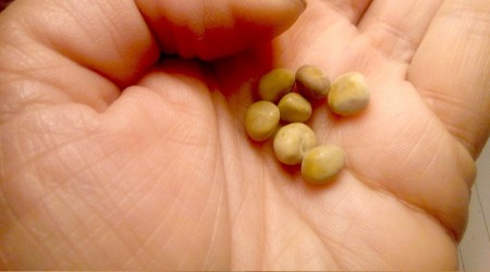 Böbrek taşı yaz aylarında artıyor