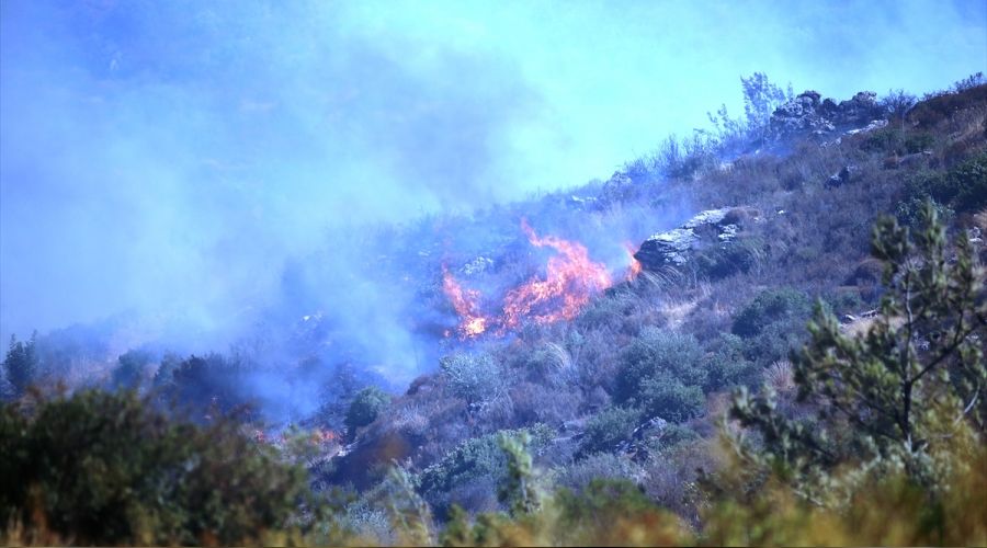 Bodrum ve Milas yan�yor