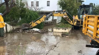 Bodrum'da metrekareye 45 kilogram ya dt