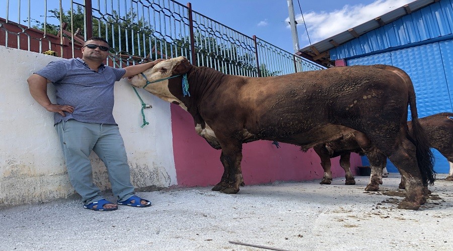 Bu bo�ayla iyi bir araba alabilirsiniz