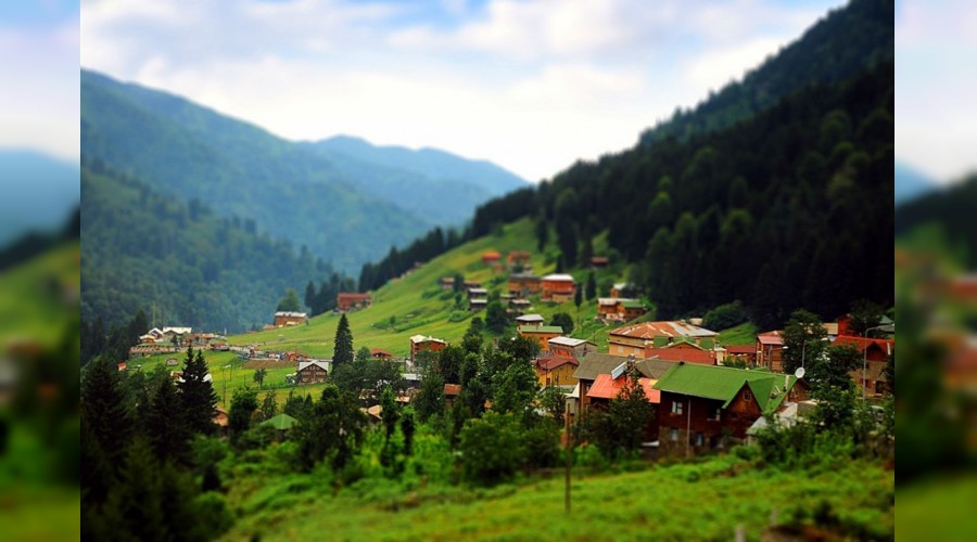 Bu da tabiat kaçakçılığı!