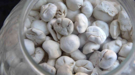 Bu sakızın fiyatı altın fiyatını ikiye katladı